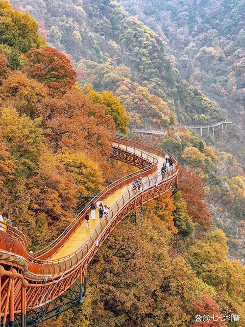 陕西旅游网红景点-陕西网红景点