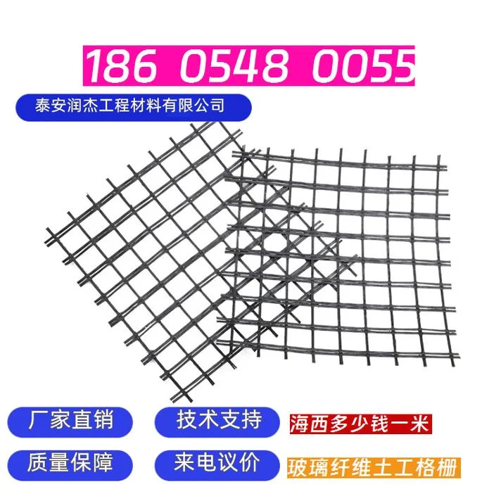 玻璃纤维土工格栅多少钱一平方_2