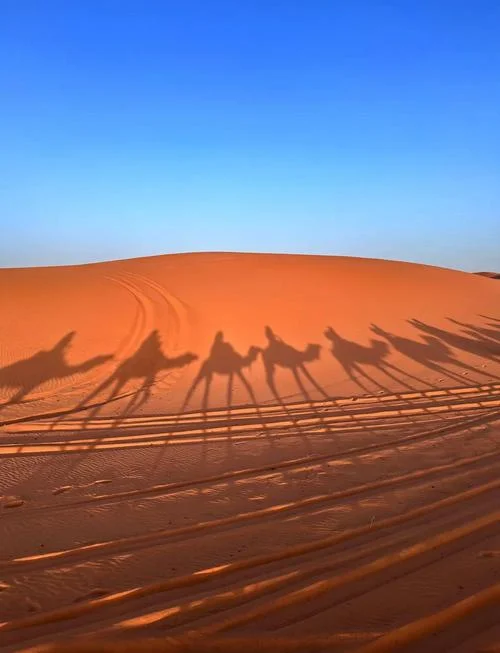 撒哈拉沙漠旅游攻略_1