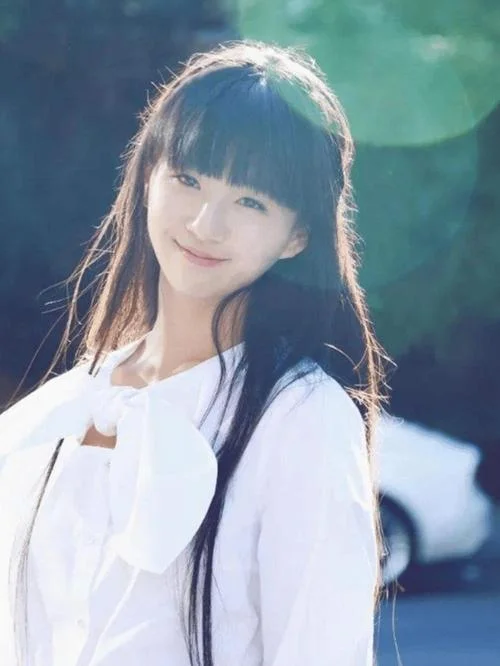 小彩旗是哪年登上春晚-小彩旗哪年登上春晚