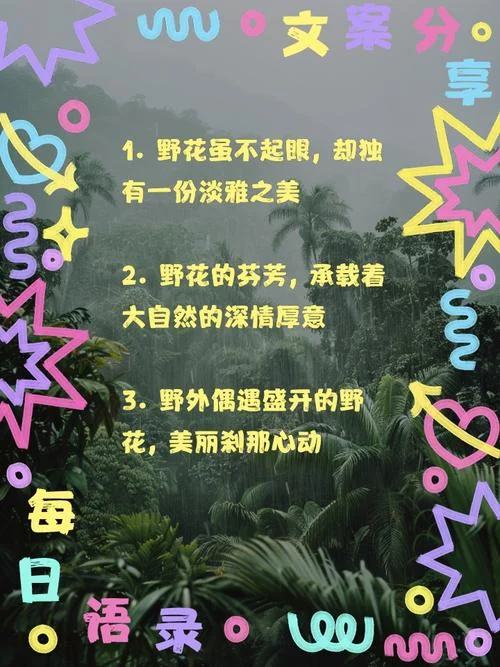 野花开说说_1