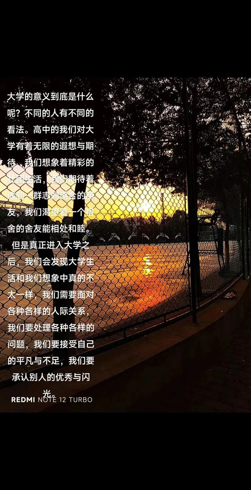 对大学的生活感悟-大学生活感悟