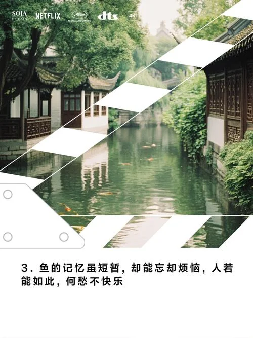养鱼心情感悟_2