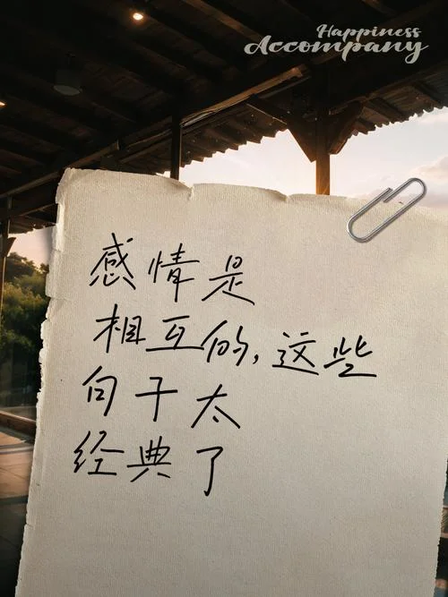 对感情的感悟经典_1