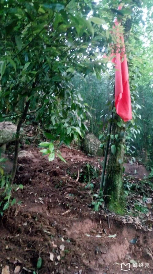 楠木溪旅游攻略_1