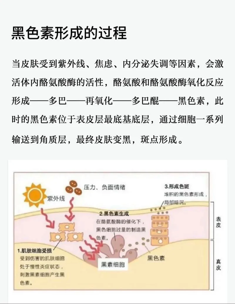 祛斑产品的发展历史-祛斑产品发展历史