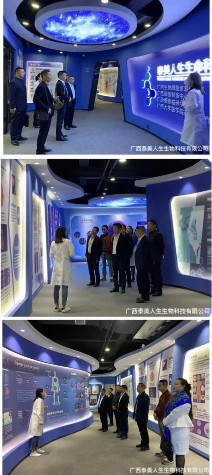 南宁基金会169项目_1