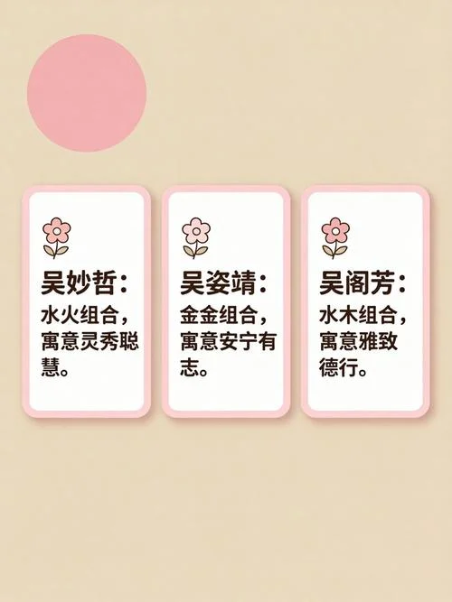 男孩吴姓宝宝起名字_2