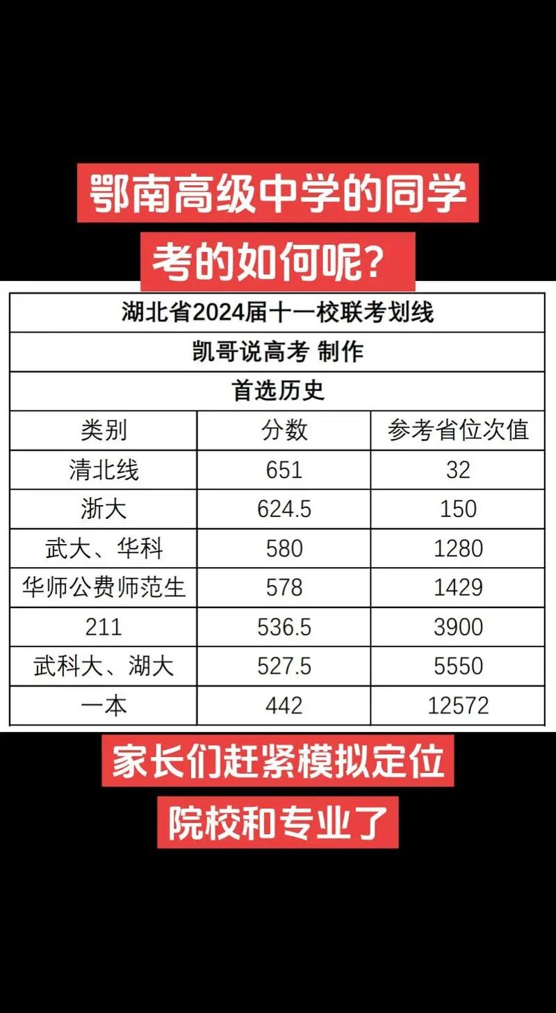 湖北鄂南高中高考成绩_2