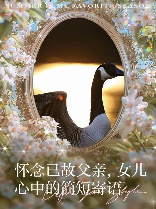梦见抱着已故的父亲_1
