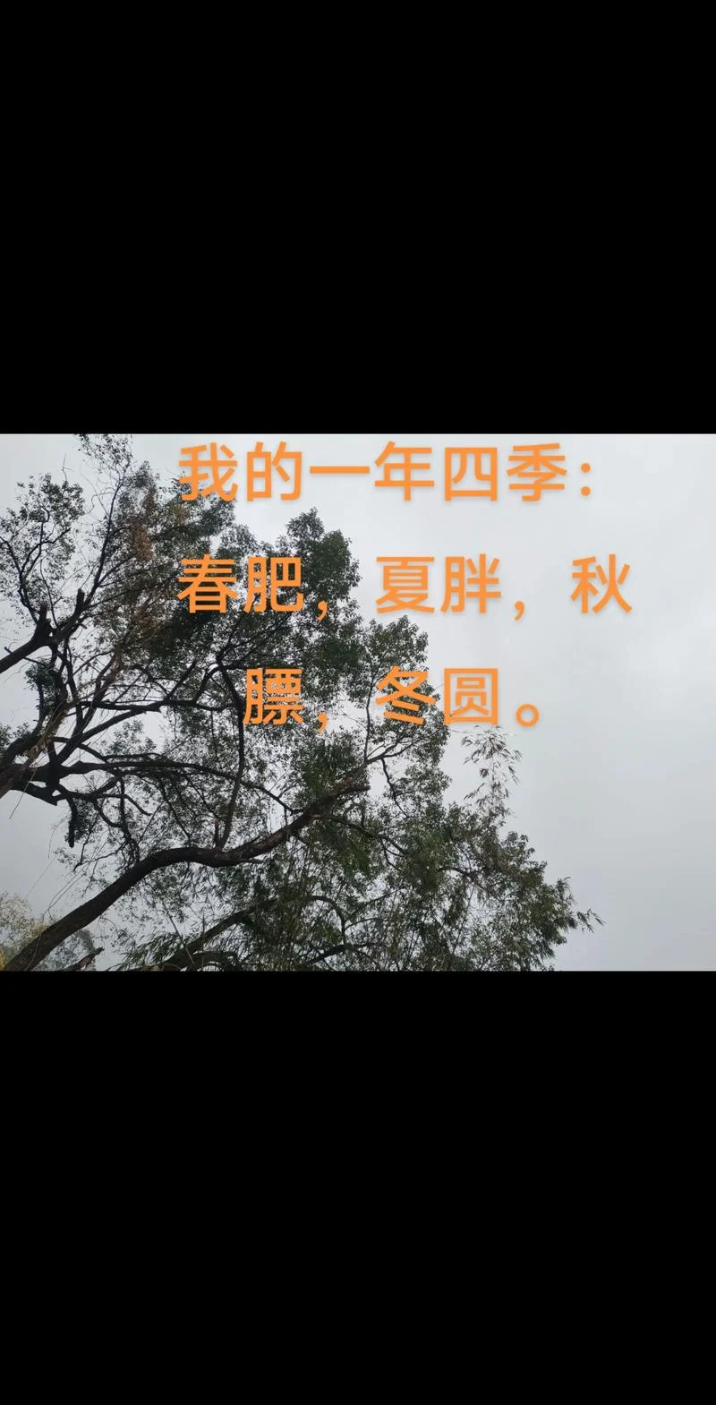 哪一年,哪个夏_2