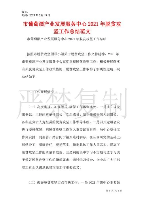 扶贫资金项目工作总结_1