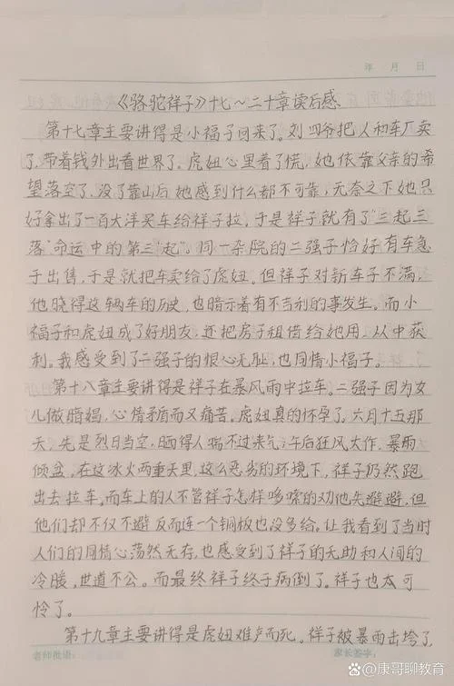 骆驼祥子读书感悟_1