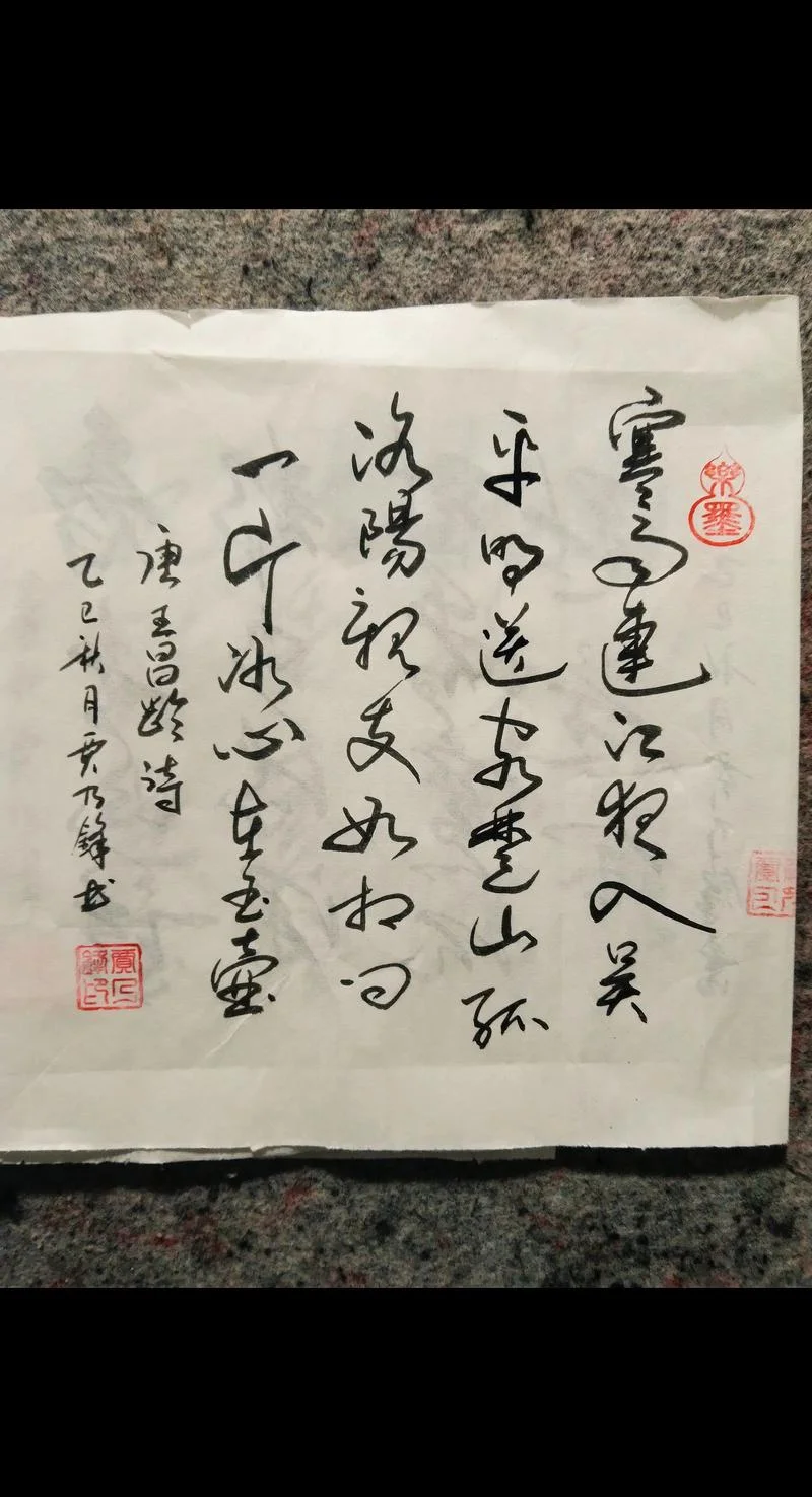 一片冰心在玉壶出处_2
