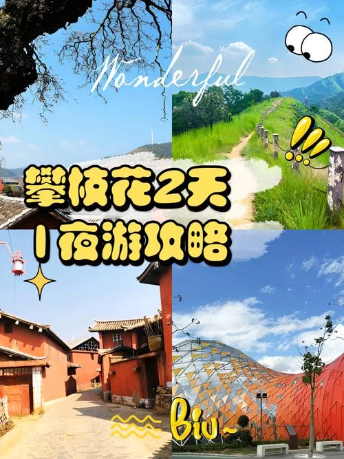 攀枝花一日游价格表_2