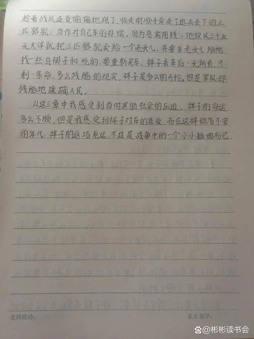 骆驼祥子的读后感悟20字_1