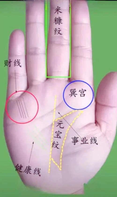 中年发财的男人手相-中年致富男相