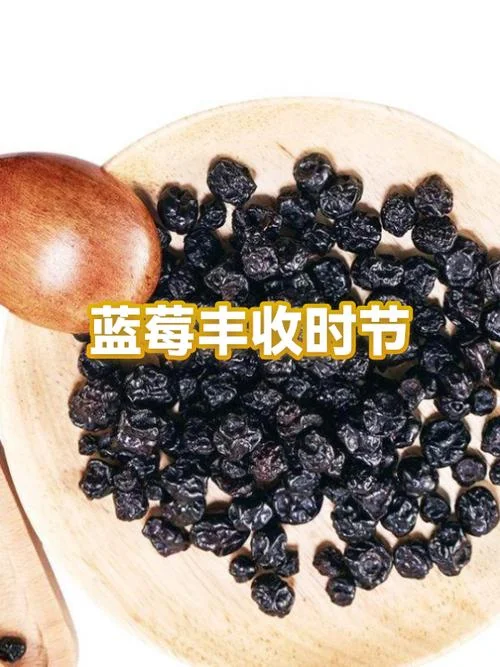 蓝莓的季节一般几月_1