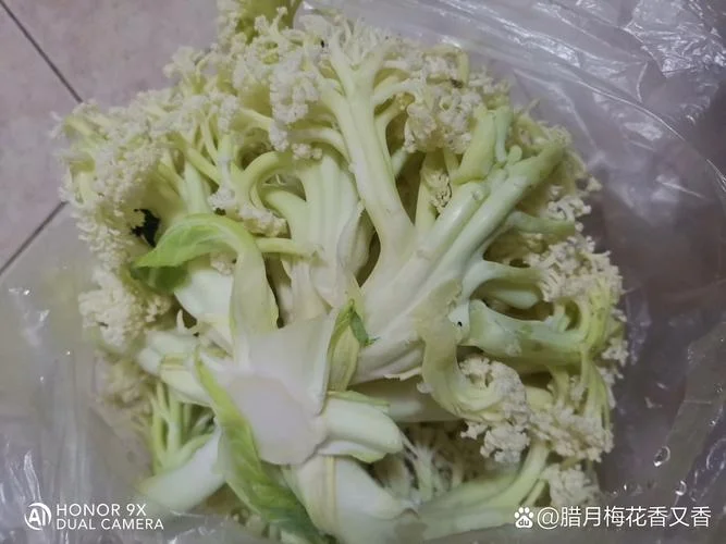 买了种草得东西叫什么-种草产品命名