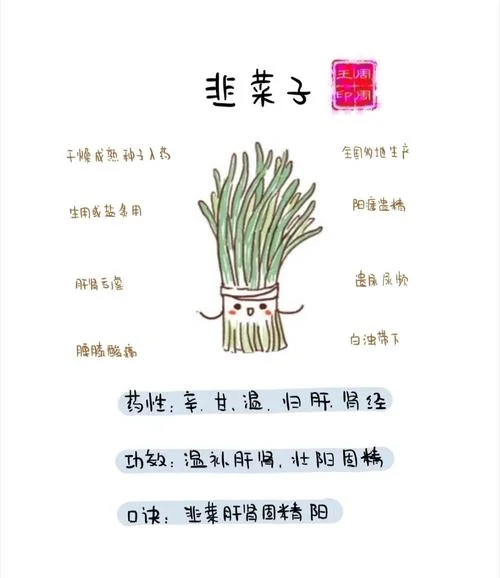 梦到韭菜代表什么意思_1