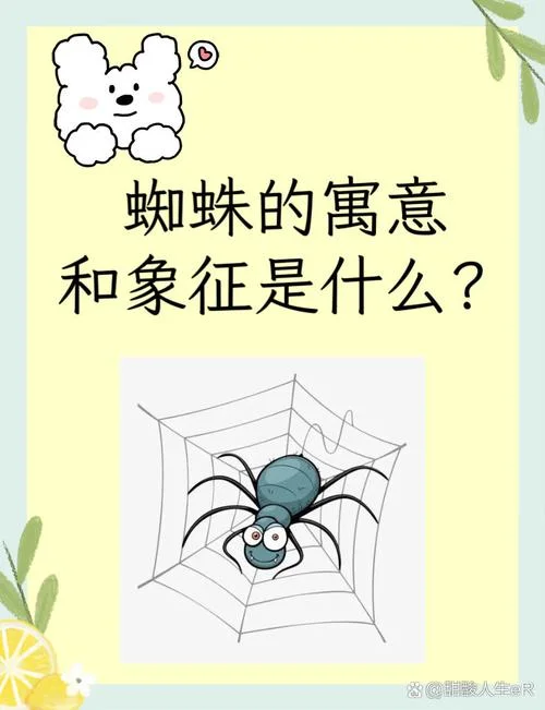 梦见大蜘蛛是什么预兆男性_2