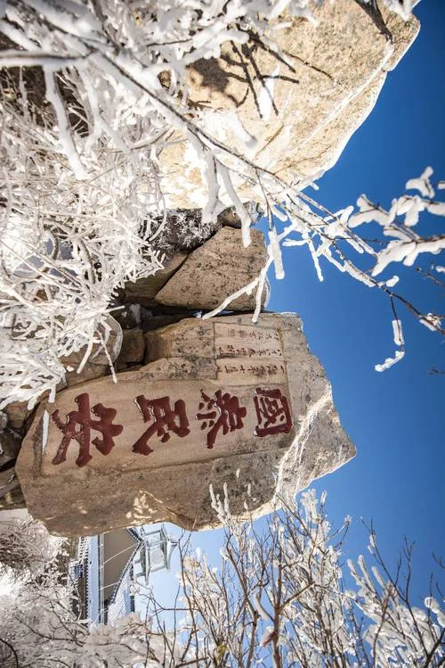 泰山雪景旅游攻略图片_2