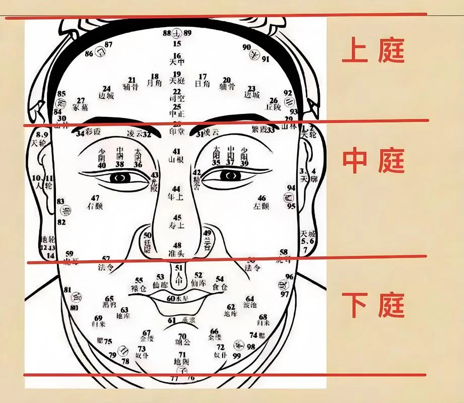 颧骨高的男生面相分析_2