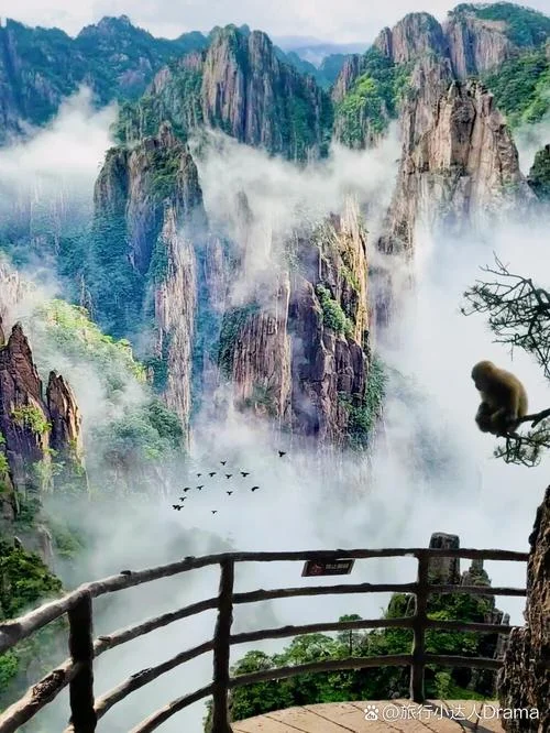 西之绝境观景点_1