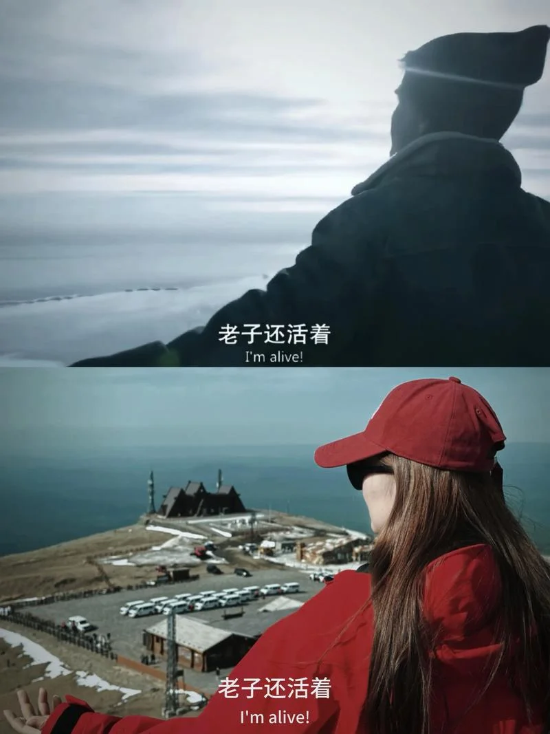 无耻之徒大结局-无耻之徒大结局