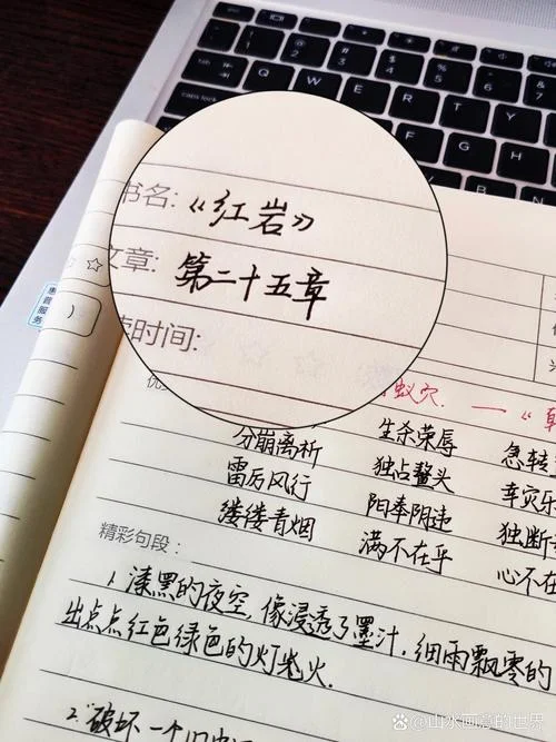 红岩读书笔记好词好句摘抄-读书笔记好句摘抄精选