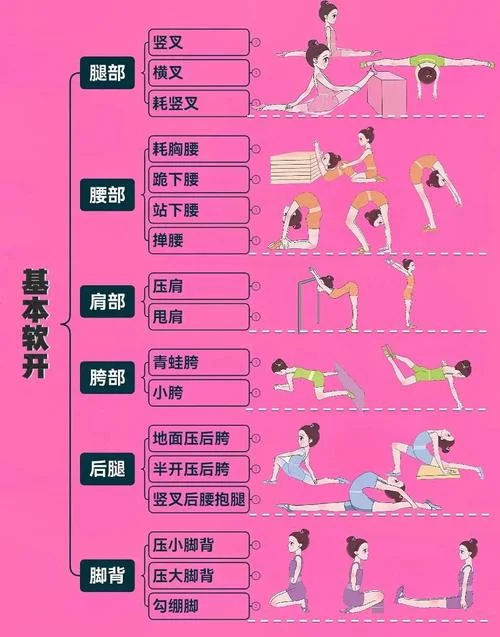 舞蹈艺考流程_1