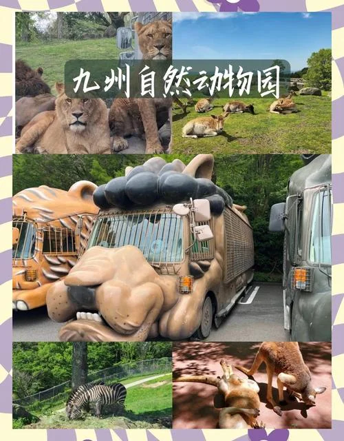 冬季日本九州亲子游旅游攻略_2