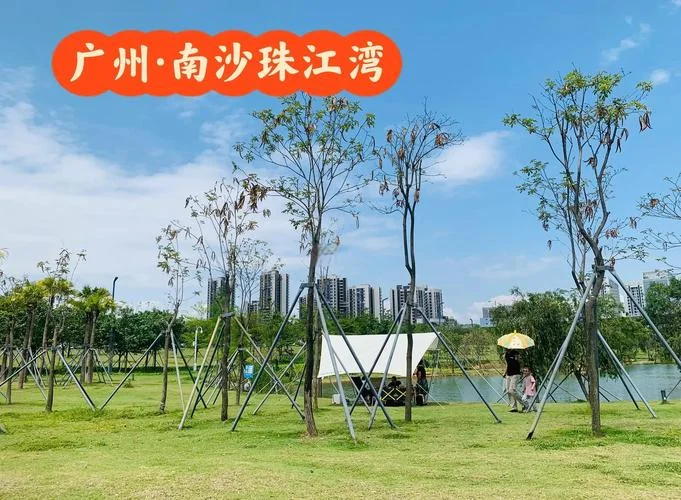 广州南沙海边的景点-南沙海边景点