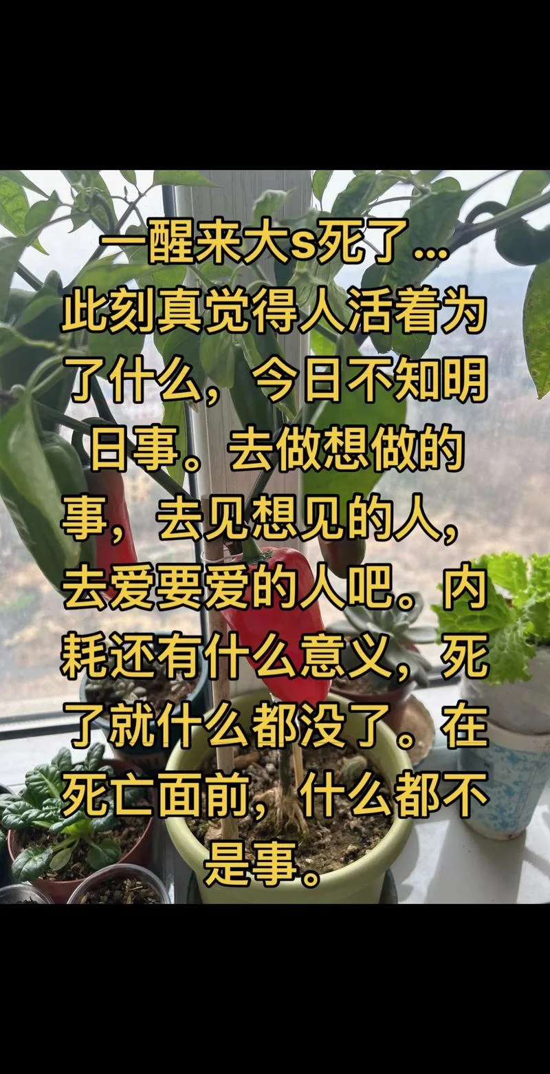 人生无常的感悟短文_1