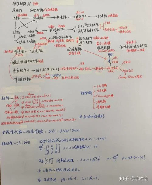 矩阵元素全为1叫什么_2