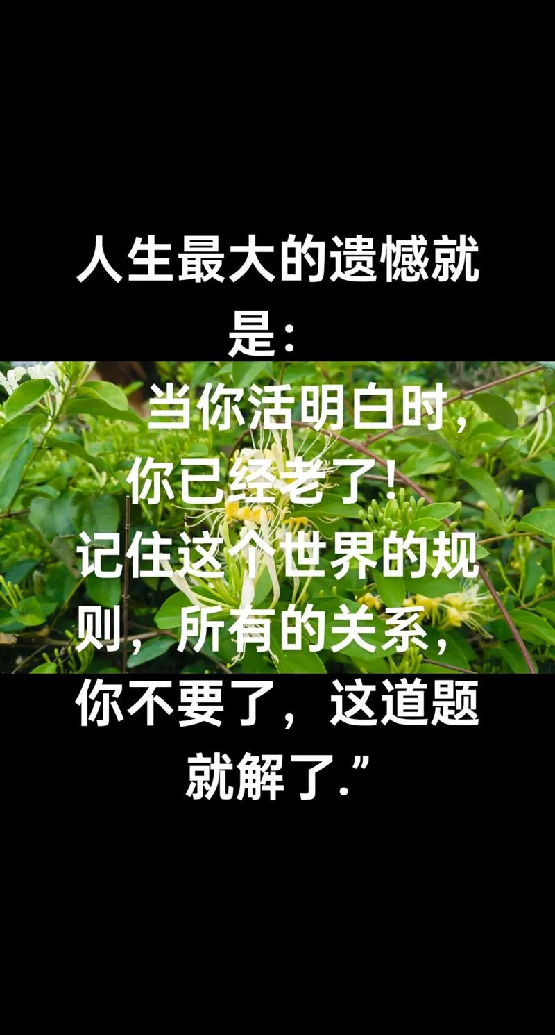 后悔知道的太晚人生感悟_2