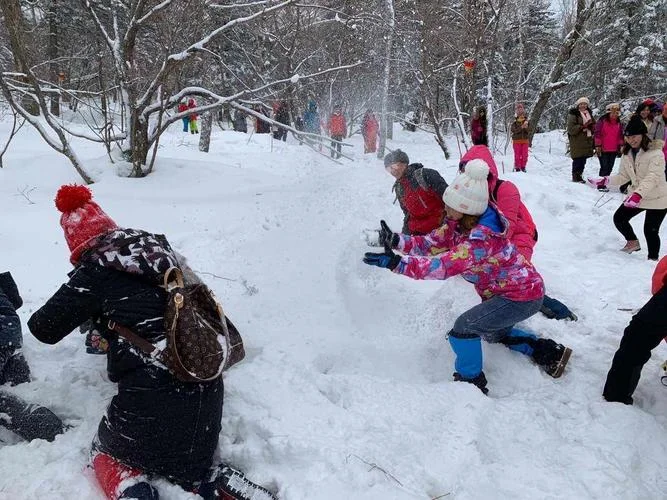 梦见下雪打雪仗_1