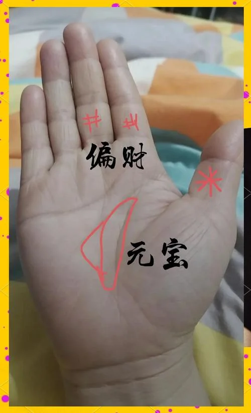 人生赢家手相_1