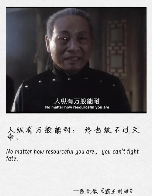 智勇双全下一句_2
