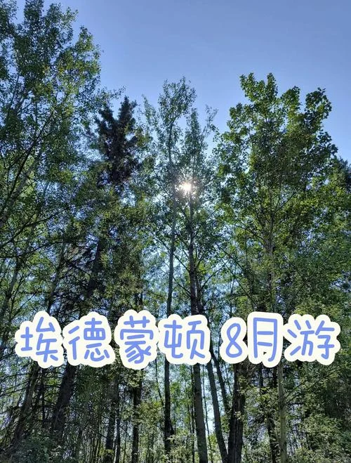 埃德蒙顿旅游攻略_1