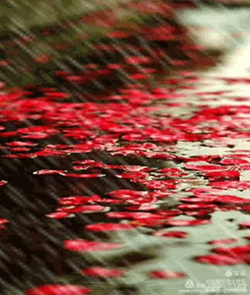 临窗听雨念君安下一句_1