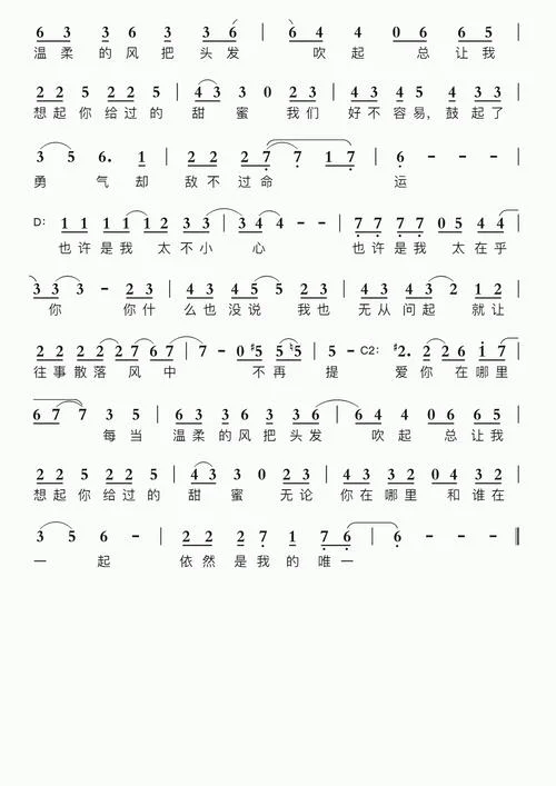 风起时想你下一句_2