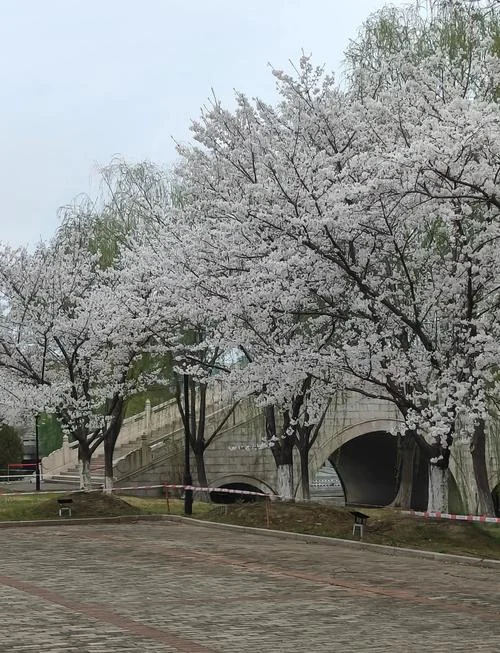 同济大学浙江学院官网-同济大学浙江学院官网