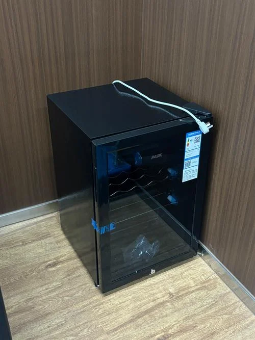 小型冰柜哪个牌子好_2