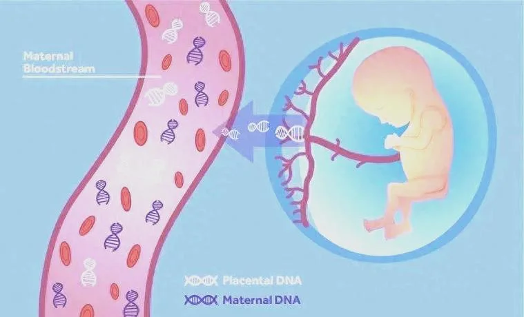 什么是无创dna_2