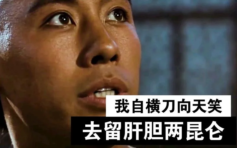 我自横刀向天笑的下一句_2