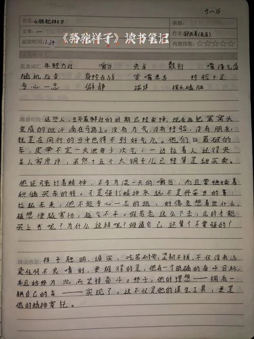 骆驼祥子第五章阅读感悟_1