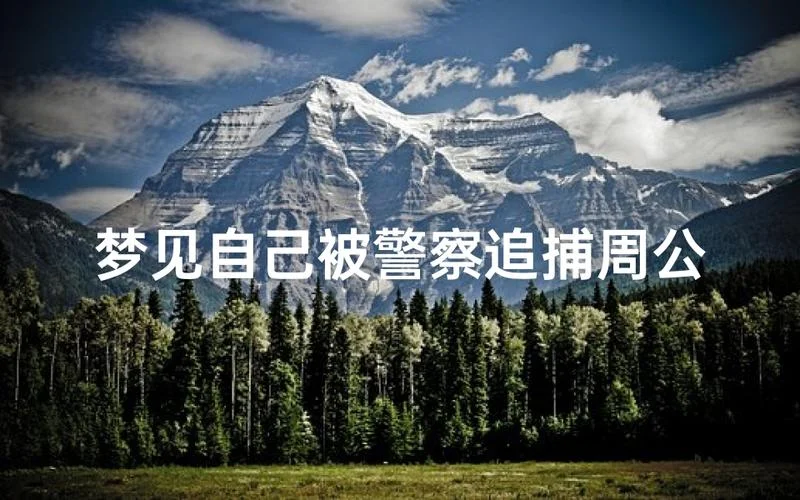 梦见被警察追预示什么-梦见被警察追的寓意