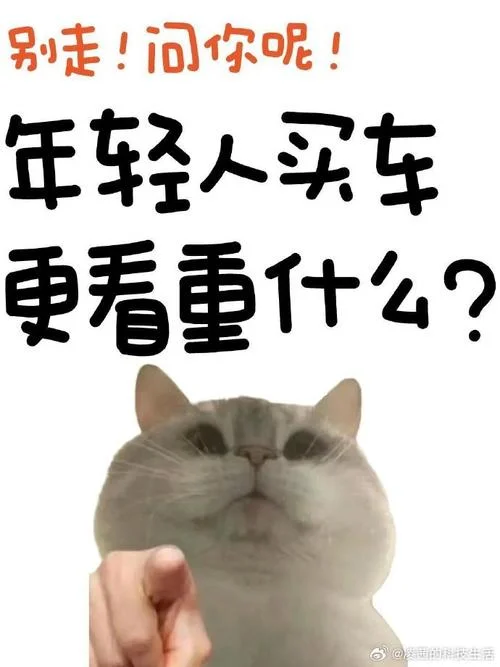 买不起车的搞笑说说_2
