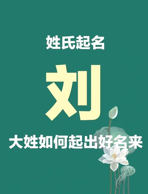给宝宝起名字刘_2